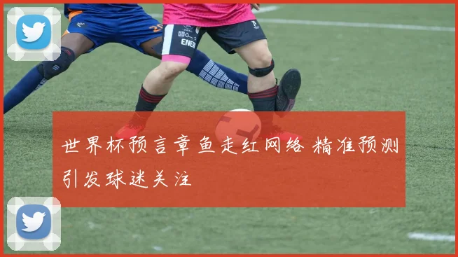 世界杯预言章鱼走红网络 精准预测引发球迷关注