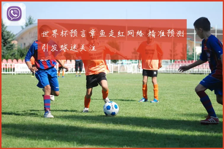 世界杯预言章鱼走红网络 精准预测引发球迷关注