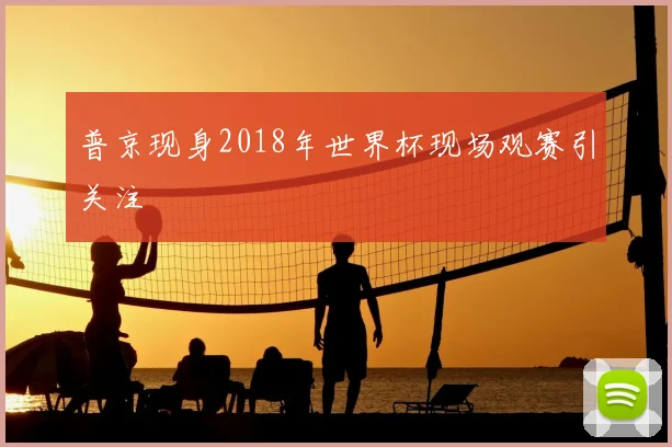普京现身2018年世界杯现场观赛引关注