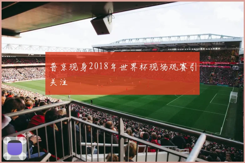 普京现身2018年世界杯现场观赛引关注