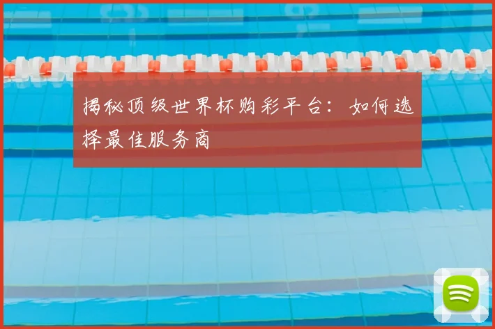 揭秘顶级世界杯购彩平台：如何选择最佳服务商