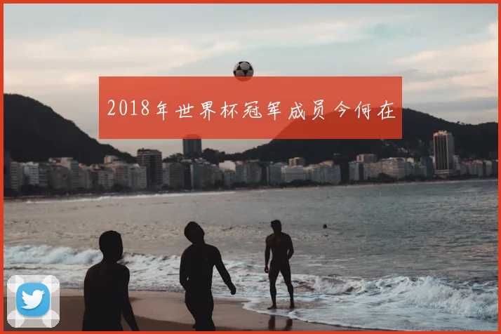 2018年世界杯冠军成员今何在
